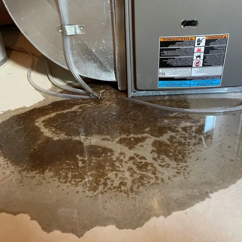 Pipe Burst and Leak Restoration in Shelbyville, IN