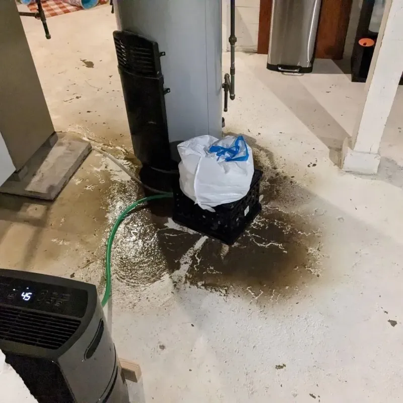 Sewage Backup Cleanup Service in Shelbyville, IN